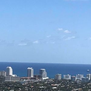 Meet your Posher, Harold